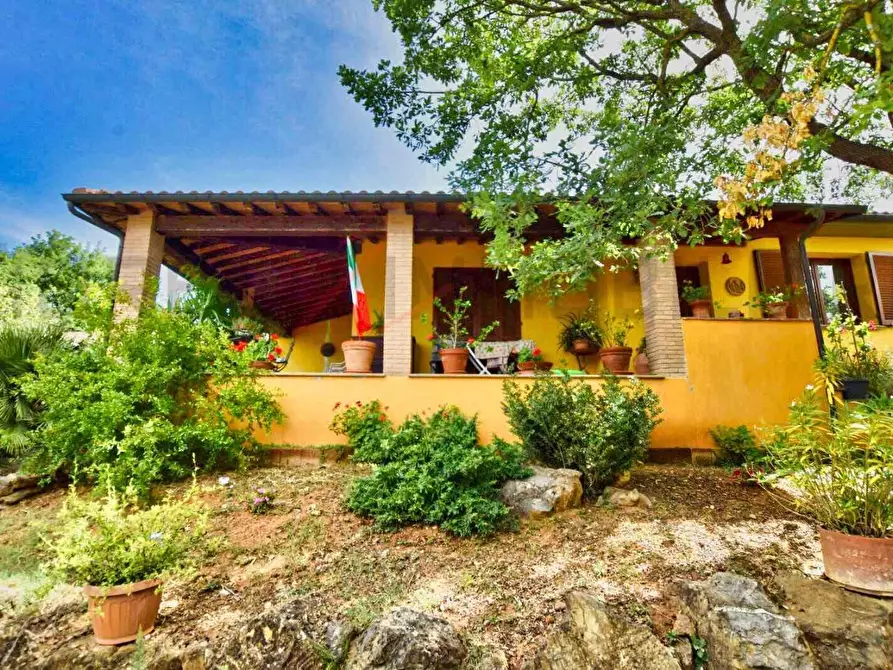 Immagine 34 di Casa colonica in vendita  a Suvereto