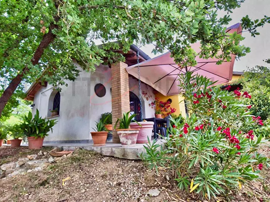 Immagine 41 di Casa colonica in vendita  a Suvereto