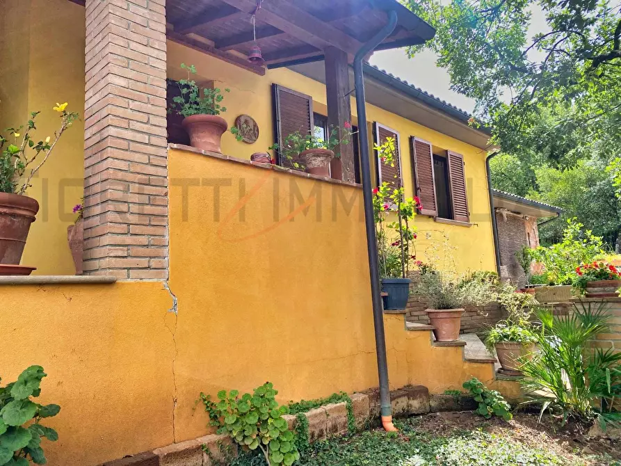 Immagine 23 di Casa colonica in vendita  a Suvereto