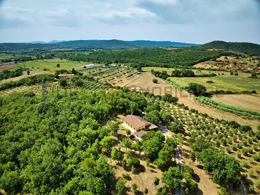 Immagine 12 di Casa colonica in vendita  a Suvereto