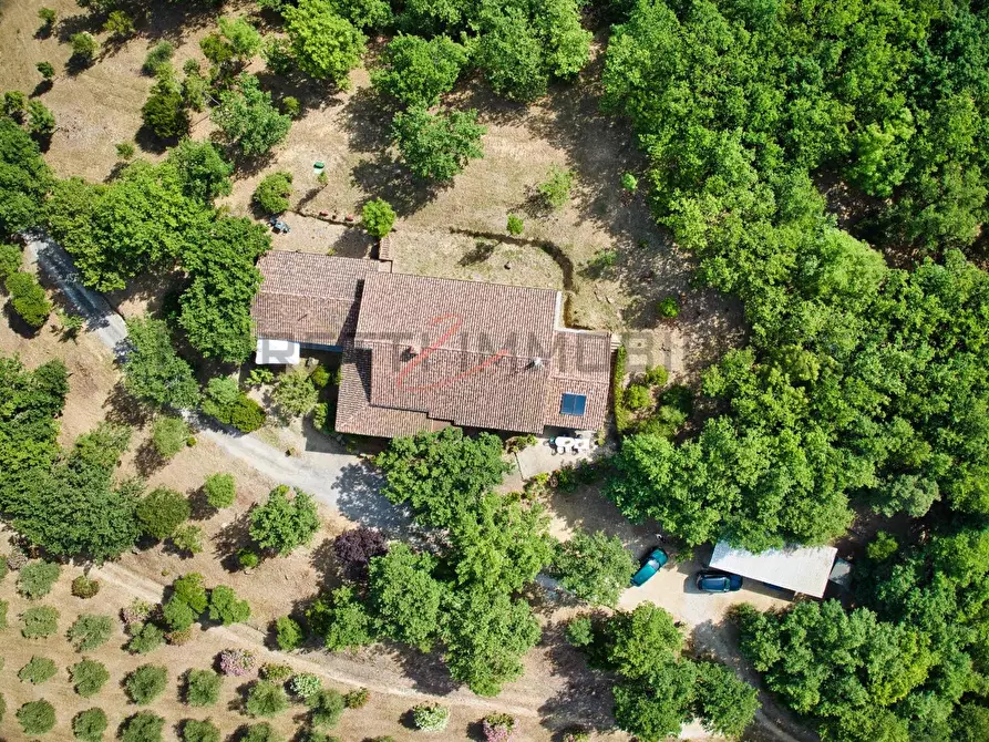 Immagine 10 di Casa colonica in vendita  a Suvereto