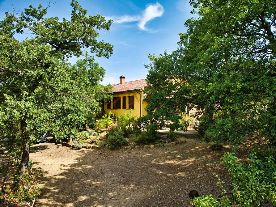 Immagine 14 di Casa colonica in vendita  a Suvereto