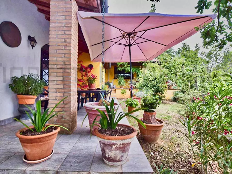 Immagine 31 di Casa colonica in vendita  a Suvereto