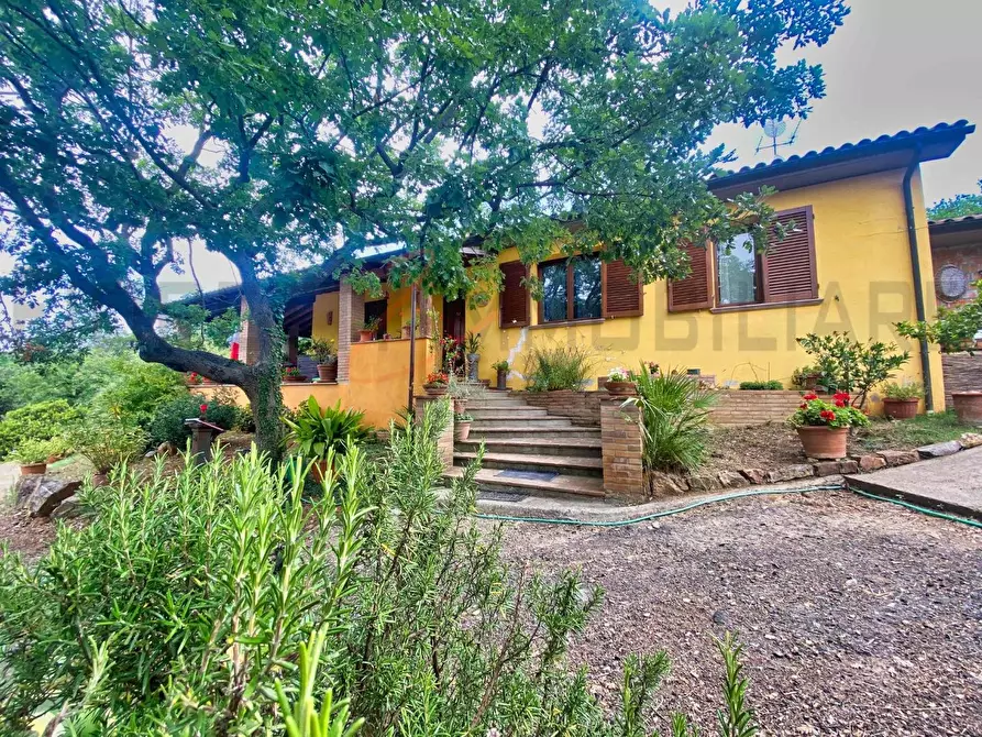 Immagine 5 di Casa colonica in vendita  a Suvereto