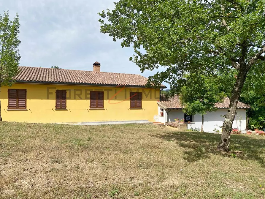 Immagine 22 di Casa colonica in vendita  a Suvereto