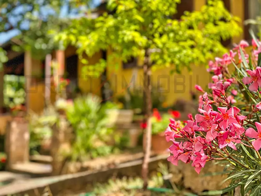 Immagine 18 di Casa colonica in vendita  a Suvereto