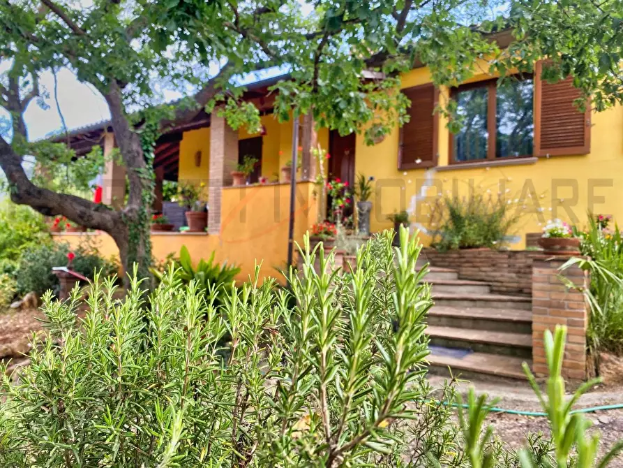 Immagine 6 di Casa colonica in vendita  a Suvereto