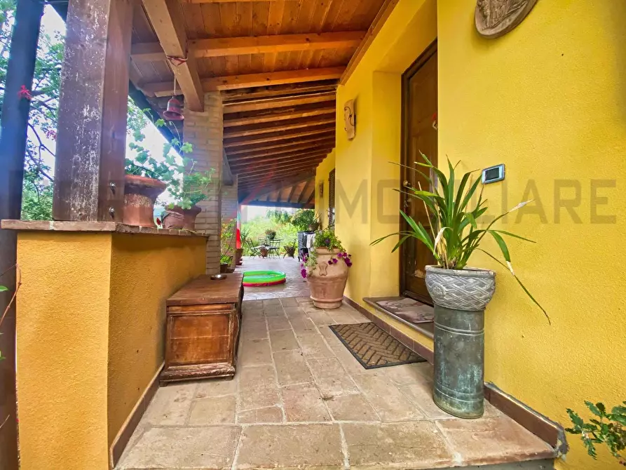 Immagine 8 di Casa colonica in vendita  a Suvereto