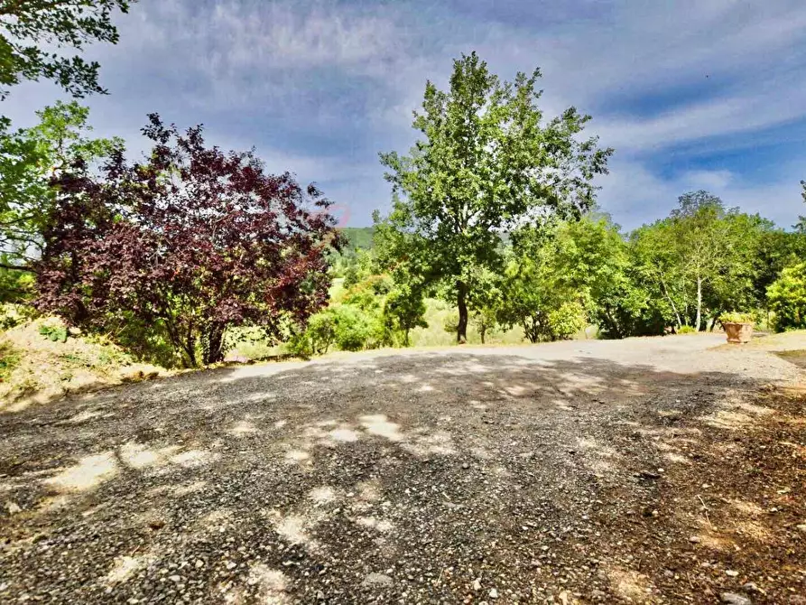 Immagine 44 di Casa colonica in vendita  a Suvereto