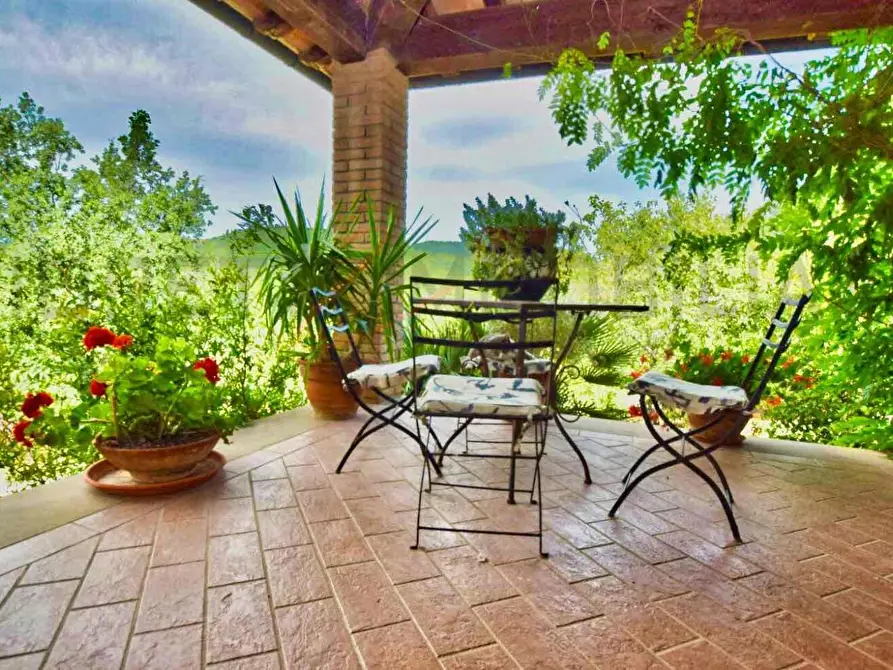 Immagine 37 di Casa colonica in vendita  a Suvereto