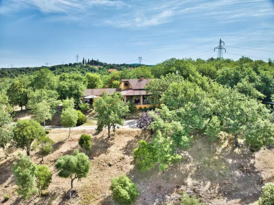 Immagine 2 di Casa colonica in vendita  a Suvereto