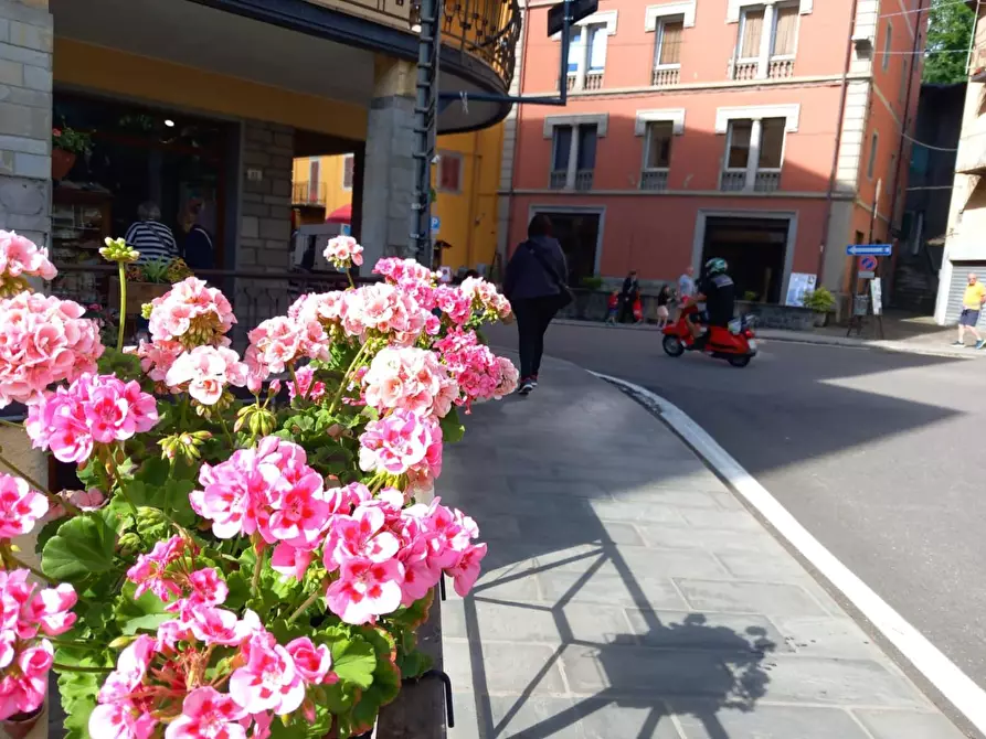 Immagine 17 di Appartamento in vendita  a Pievepelago