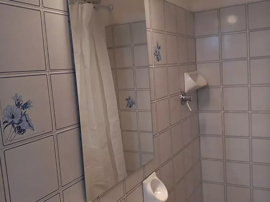 Immagine 45 di Appartamento in vendita  a Pievepelago