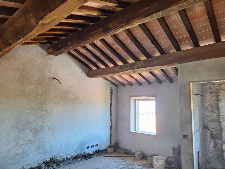 Immagine 11 di Terratetto in vendita  a Capannori