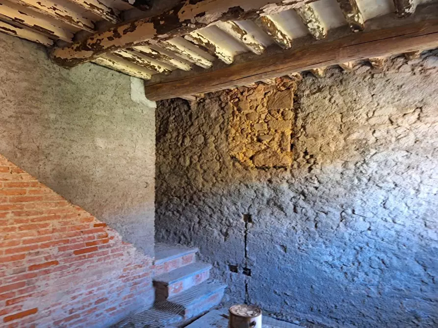 Immagine 6 di Terratetto in vendita  a Capannori