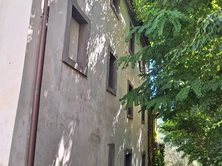 Immagine 2 di Terratetto in vendita  a Capannori