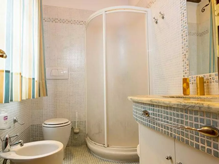 Immagine 9 di Villa in vendita  a Montescudaio