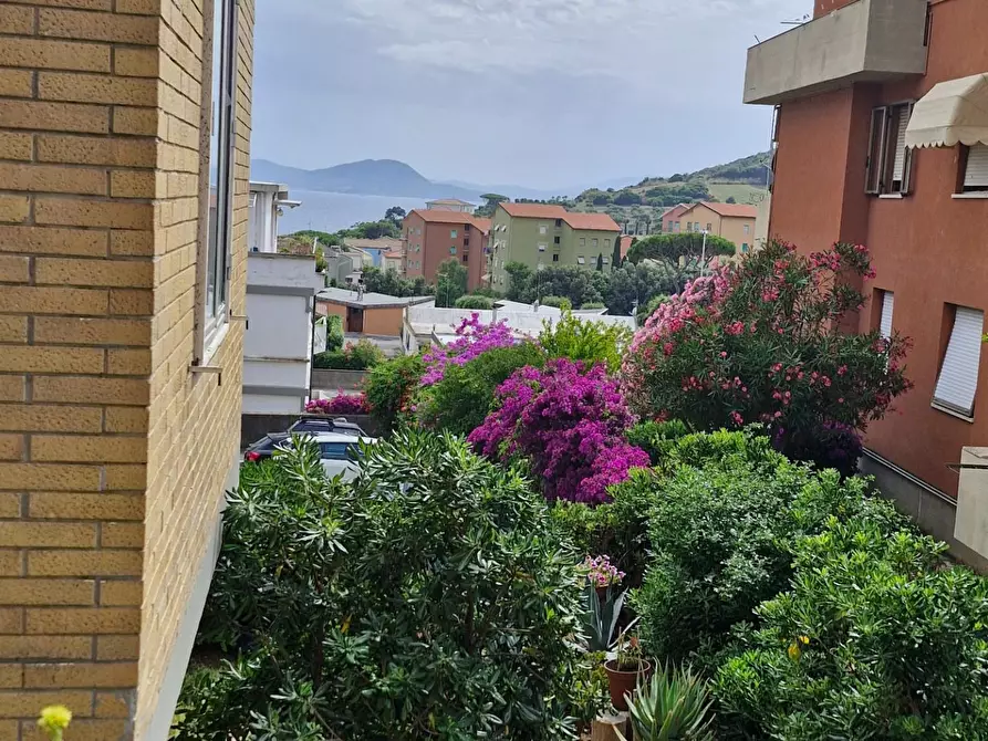 Immagine 13 di Appartamento in vendita  a Piombino