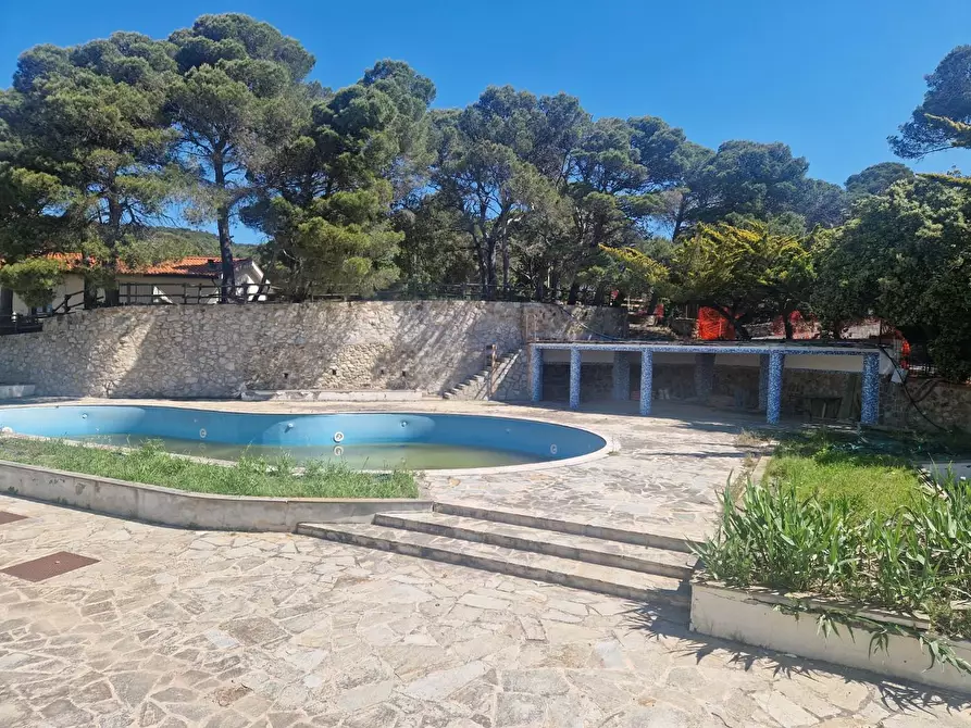 Immagine 13 di Appartamento in vendita  a Rosignano Marittimo