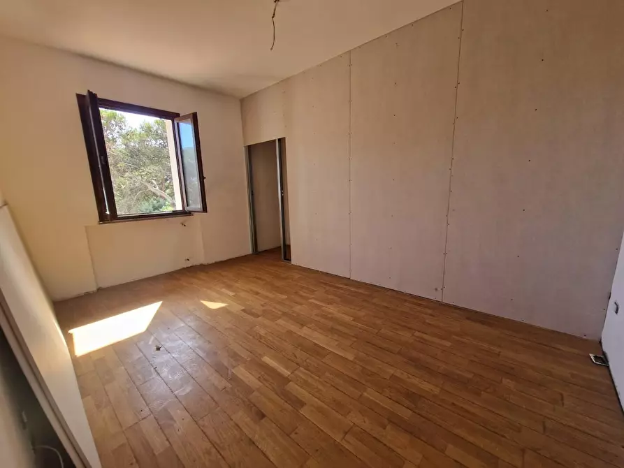 Immagine 11 di Appartamento in vendita  a Rosignano Marittimo