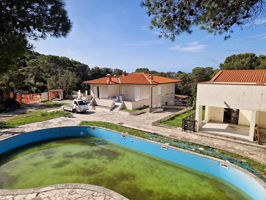 Immagine 21 di Appartamento in vendita  a Rosignano Marittimo