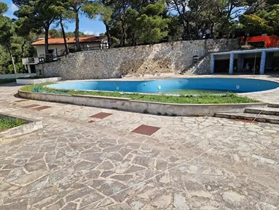 Immagine 19 di Appartamento in vendita  a Rosignano Marittimo