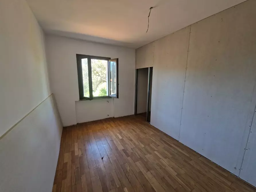 Immagine 14 di Appartamento in vendita  a Rosignano Marittimo