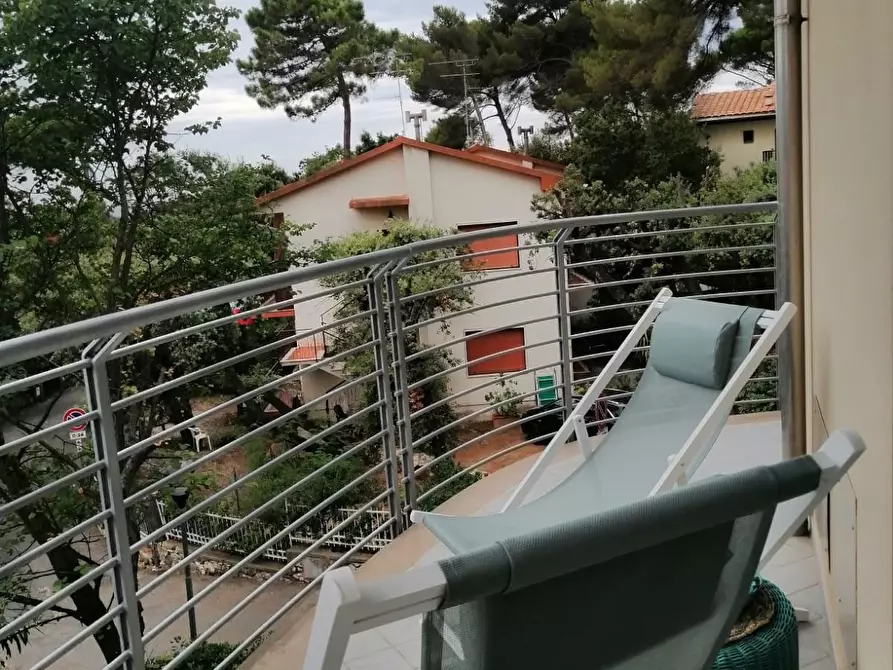 Immagine 11 di Appartamento in vendita  a Rosignano Marittimo