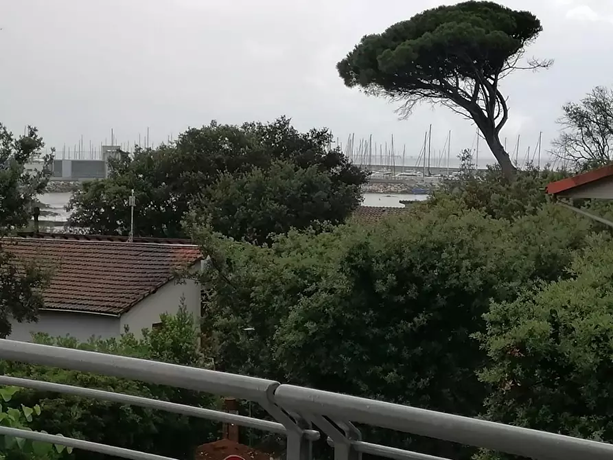 Immagine 14 di Appartamento in vendita  a Rosignano Marittimo