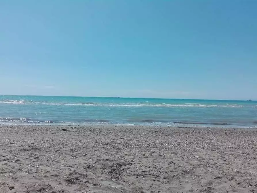 Immagine 4 di Appartamento in vendita  a Rosignano Marittimo