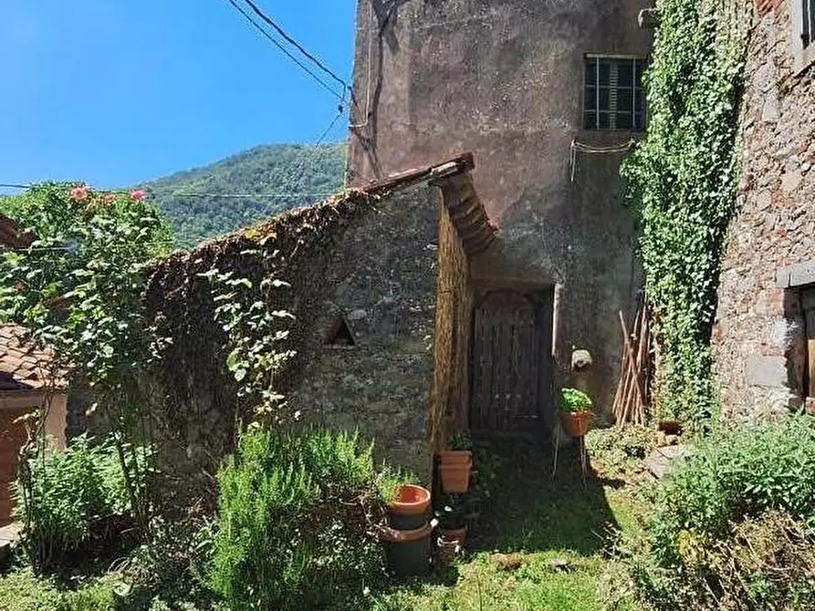 Immagine 11 di Terratetto in vendita  a Pescaglia