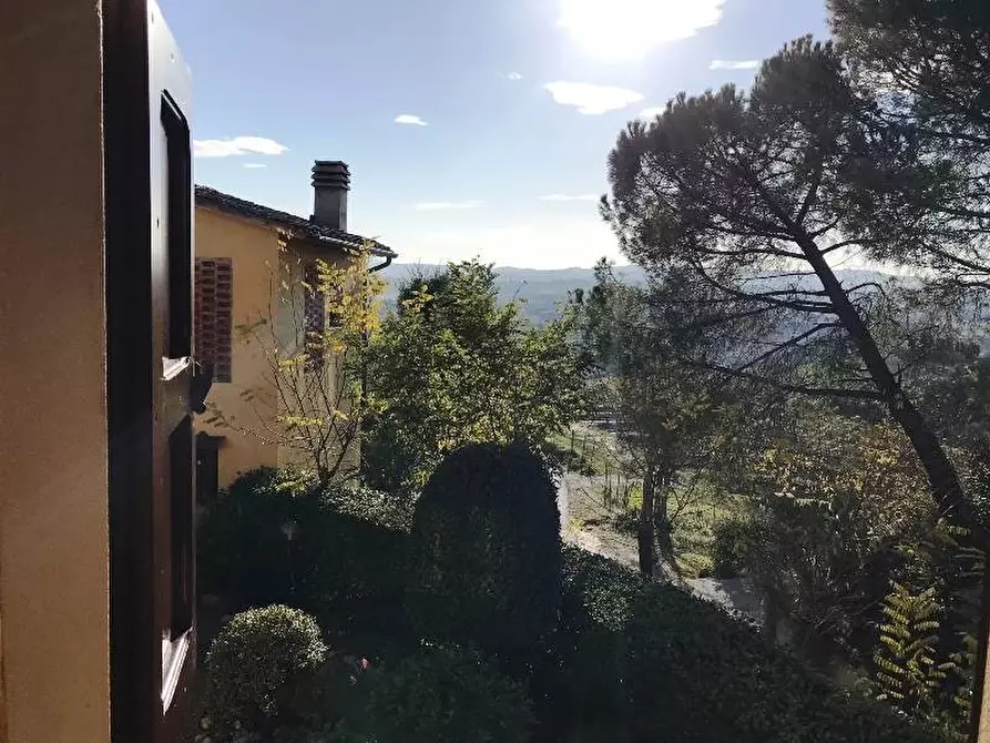 Immagine 17 di Casa colonica in vendita  a Castelfiorentino