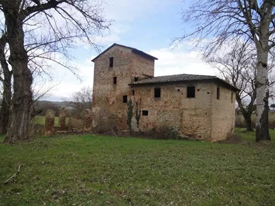 Immagine 11 di Casa colonica in vendita  a Gambassi Terme