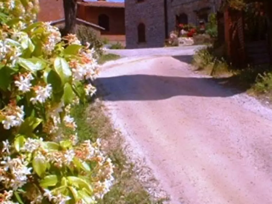 Immagine 18 di Casa colonica in vendita  a San Gimignano