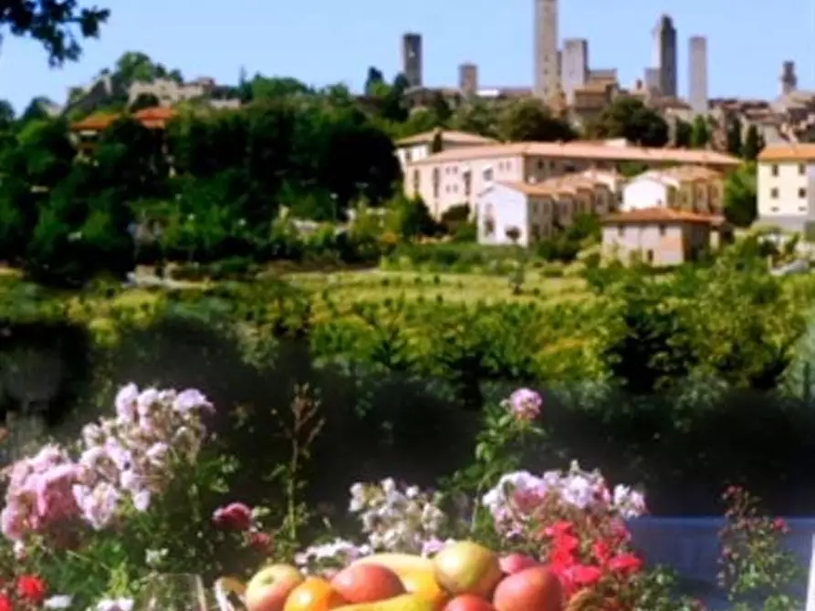 Immagine 15 di Casa colonica in vendita  a San Gimignano