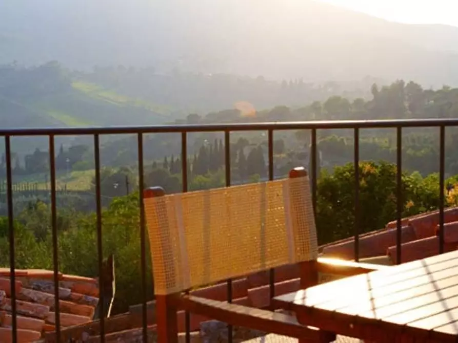 Immagine 9 di Casa colonica in vendita  a San Gimignano