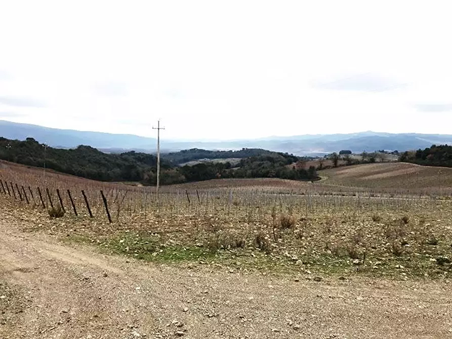 Immagine 6 di Azienda agricola in vendita  a Murlo