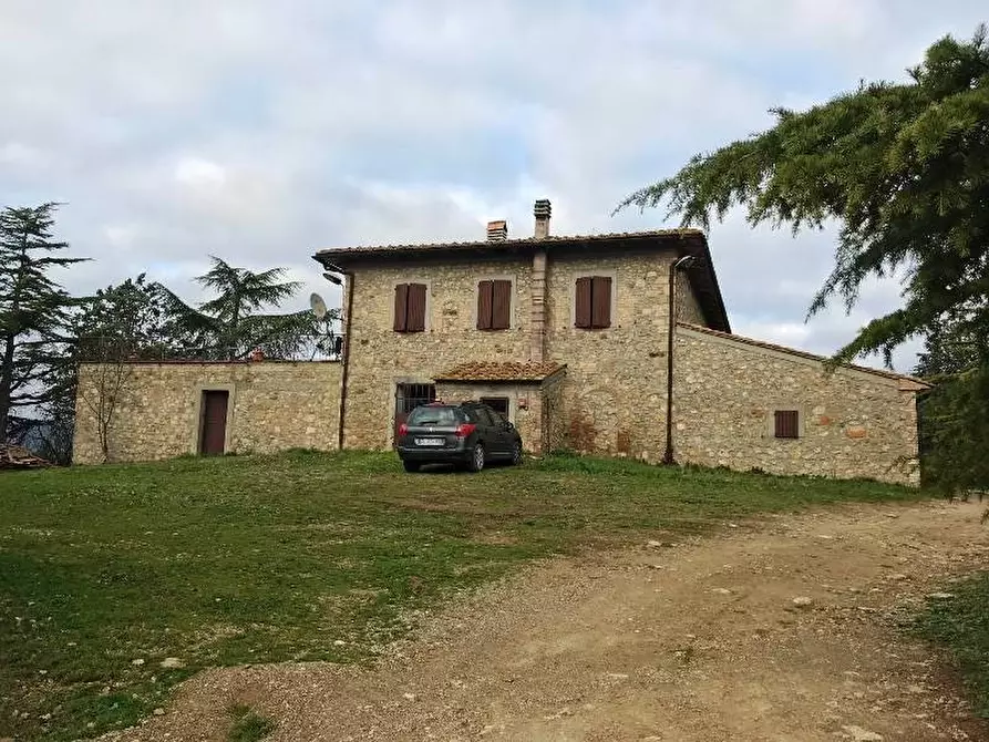 Immagine 15 di Azienda agricola in vendita  a Murlo