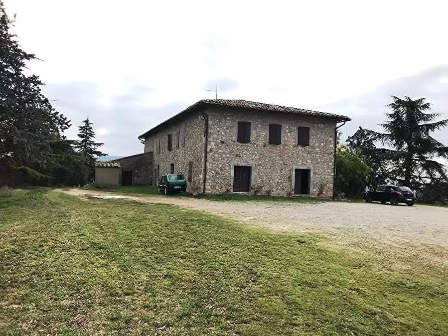 Immagine 8 di Azienda agricola in vendita  a Murlo