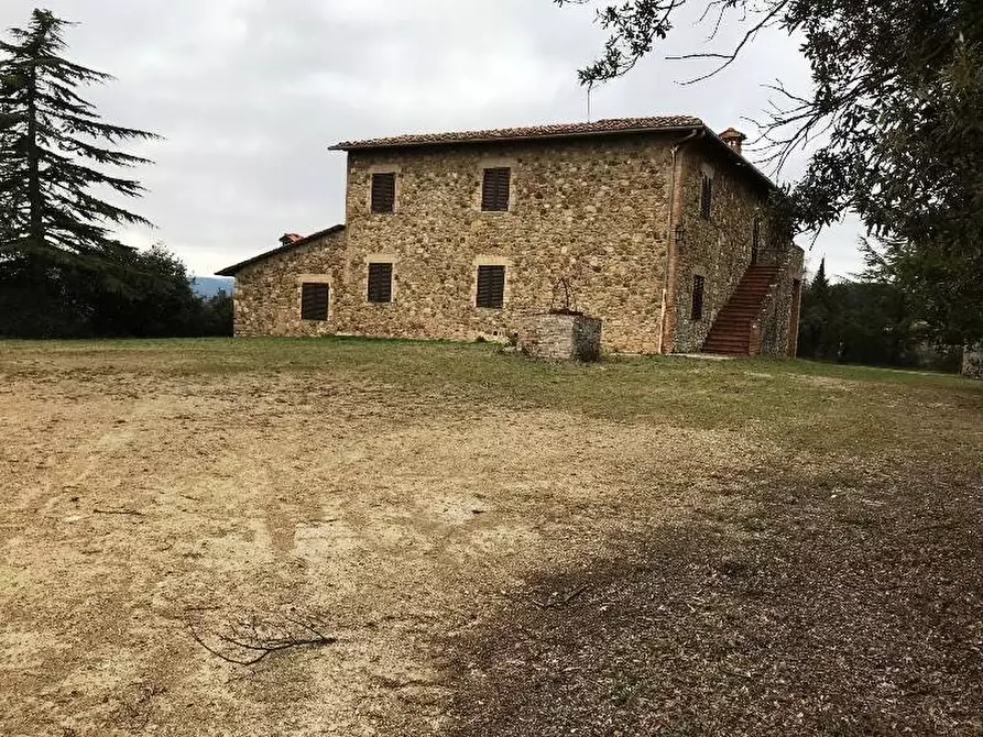 Immagine 3 di Azienda agricola in vendita  a Murlo