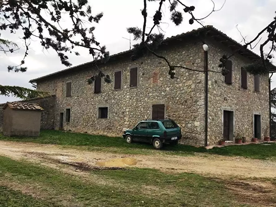 Immagine 13 di Azienda agricola in vendita  a Murlo