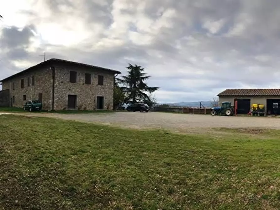 Immagine 10 di Azienda agricola in vendita  a Murlo