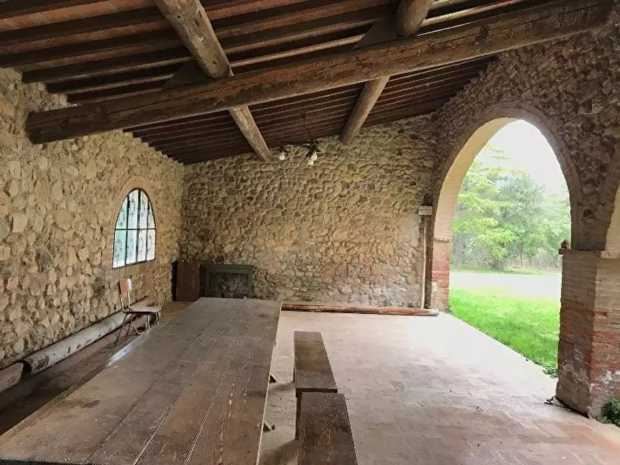 Immagine 5 di Azienda agricola in vendita  a Murlo