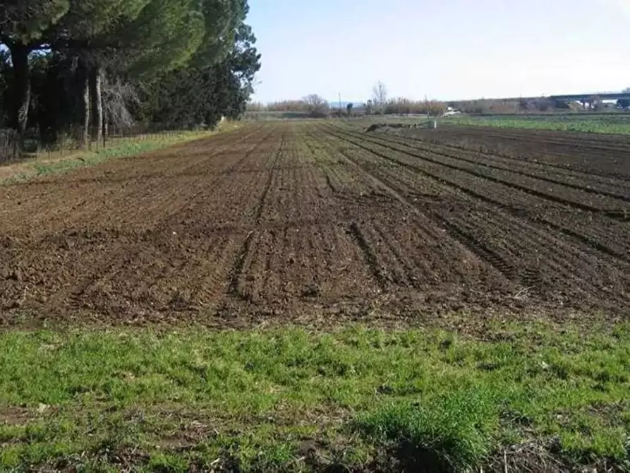 Immagine 1 di Terreno residenziale in vendita  a Signa