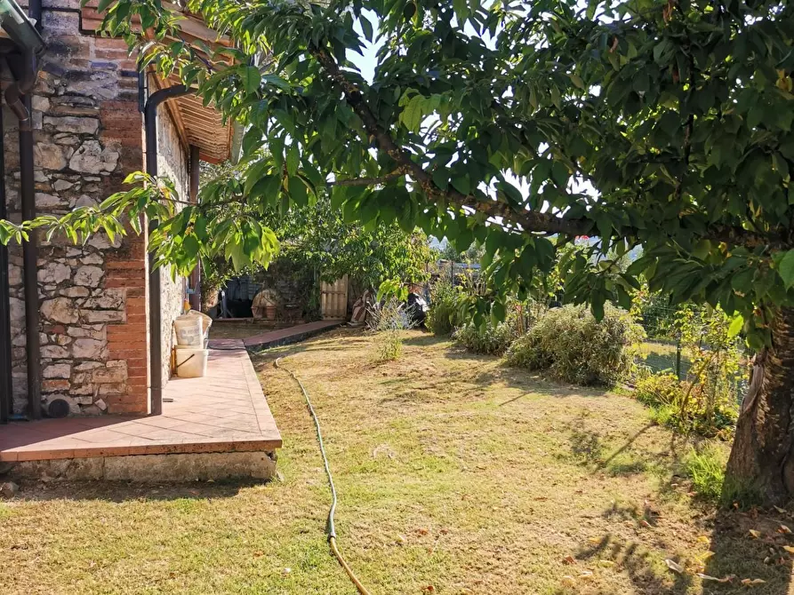 Immagine 5 di Casa colonica in vendita  a Colle Di Val D'elsa