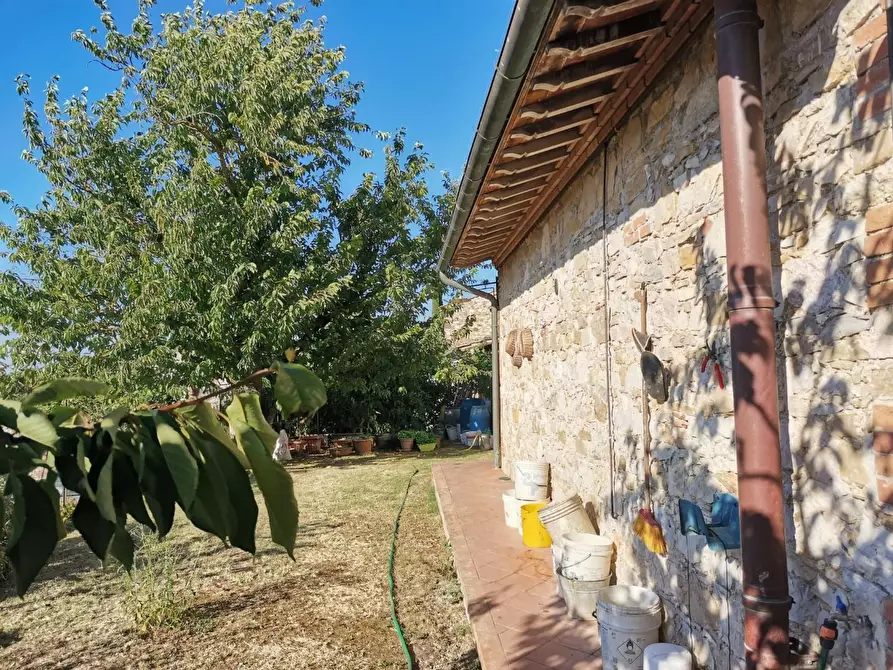 Immagine 35 di Casa colonica in vendita  a Colle Di Val D'elsa