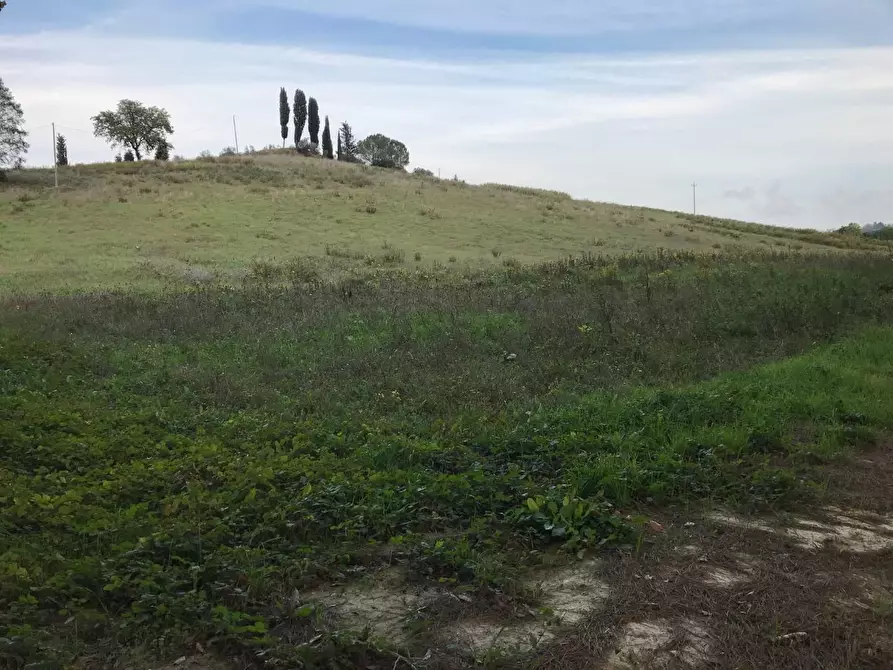 Immagine 1 di Terreno agricolo in vendita  a San Miniato