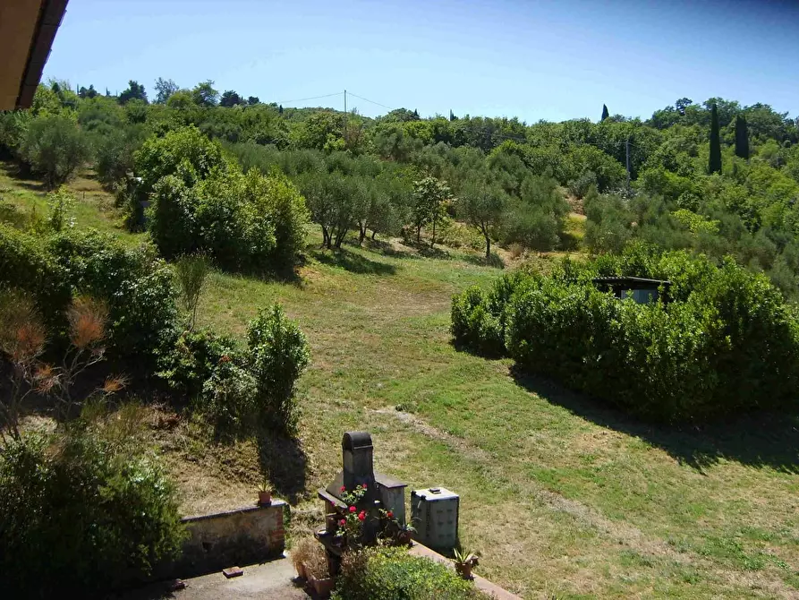 Immagine 12 di Villa in vendita  a Lajatico