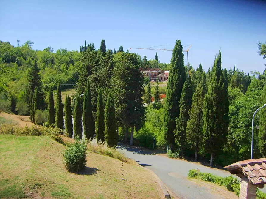 Immagine 2 di Villa in vendita  a Lajatico