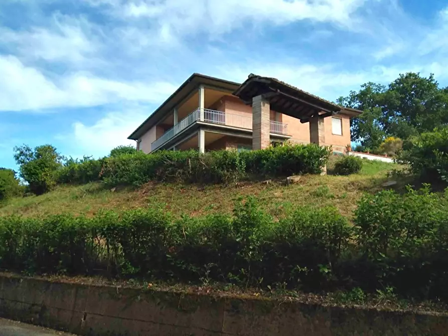 Immagine 6 di Villa in vendita  a Lajatico